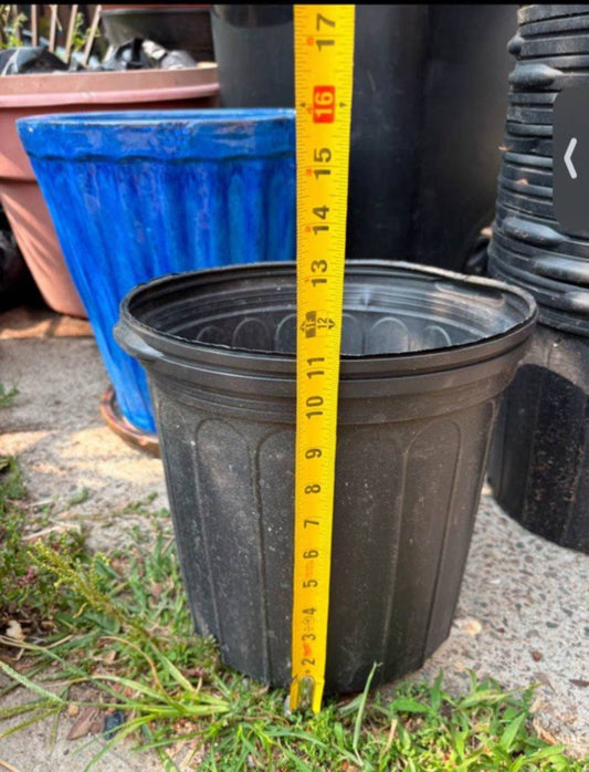 Plastic Nursery Pots — Value Pack of 20 for $10 | Essential Starter Kit for NYC Gardeners