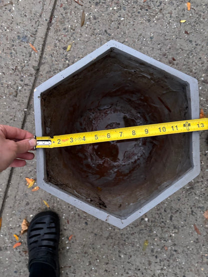 Modern Matty Grey Planter – 12" Diameter x 14" Height | NYC Indoor Garden Essential