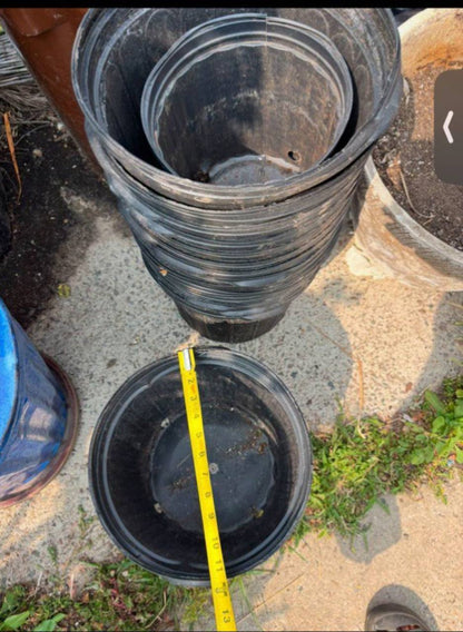 Plastic Nursery Pots — Value Pack of 20 for $10 | Essential Starter Kit for NYC Gardeners